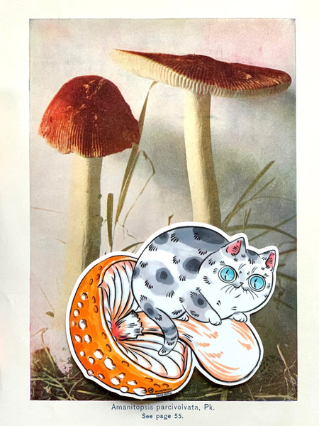 Amanita Mushroom Cat Stickers Set of 2