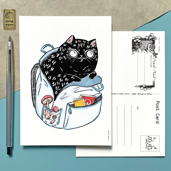 Forager Cat Postcard