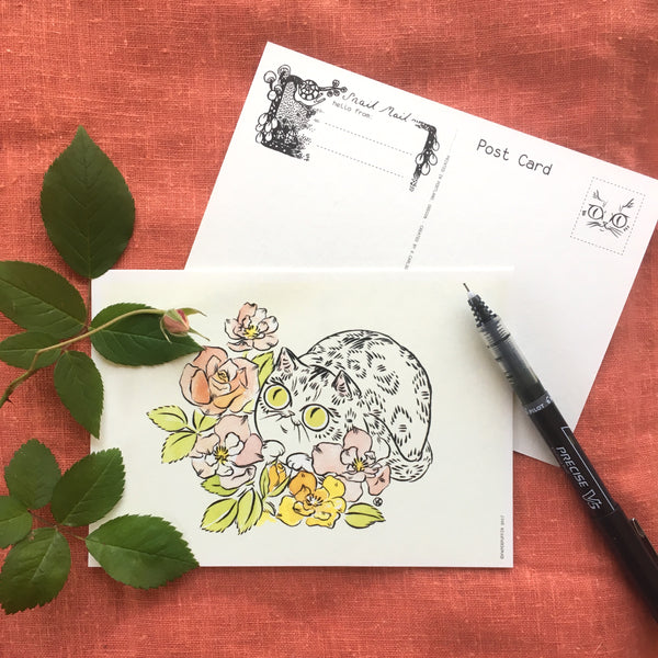 Rose Kitty Postcard