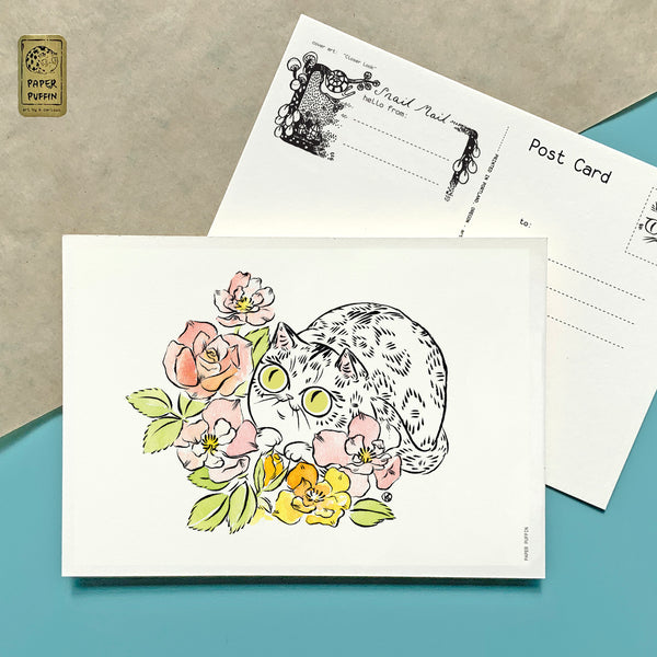 Rose Kitty Postcard