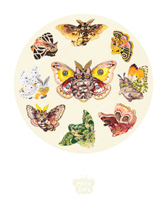 Moth Cat Print "Circle” Collection