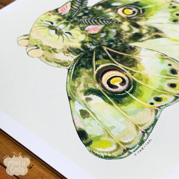 Moth Cat Print "Lil Green” Moth