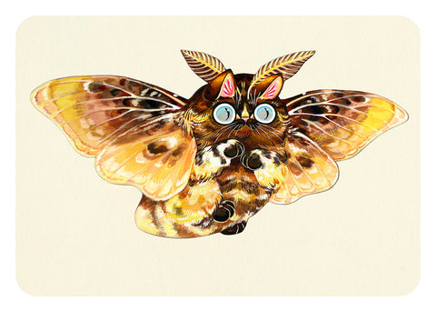 Moth Cat Print “Fuzzy Flannel”