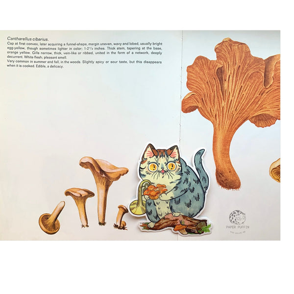 Chanterelle Cat Sticker
