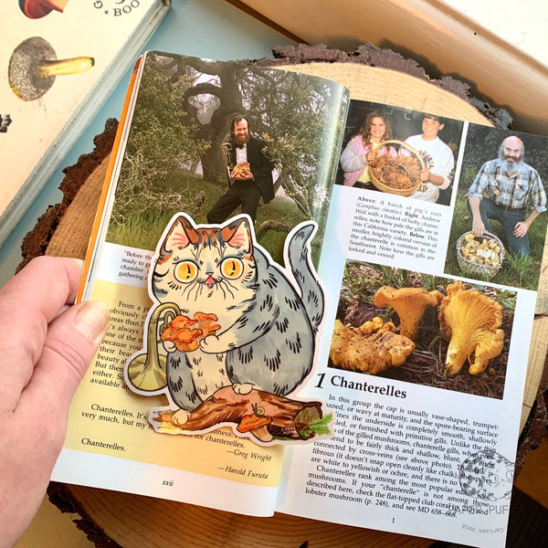 Chanterelle Cat Sticker