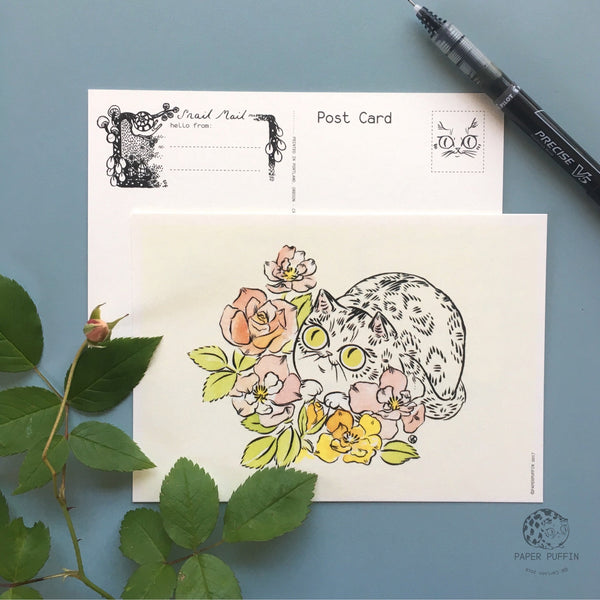 Postcard Set - Nature & Mushroom Cats