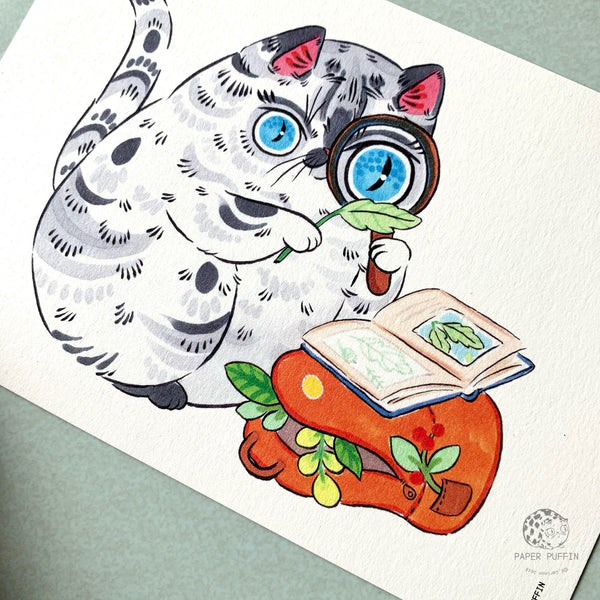 Postcard Set - Nature & Mushroom Cats