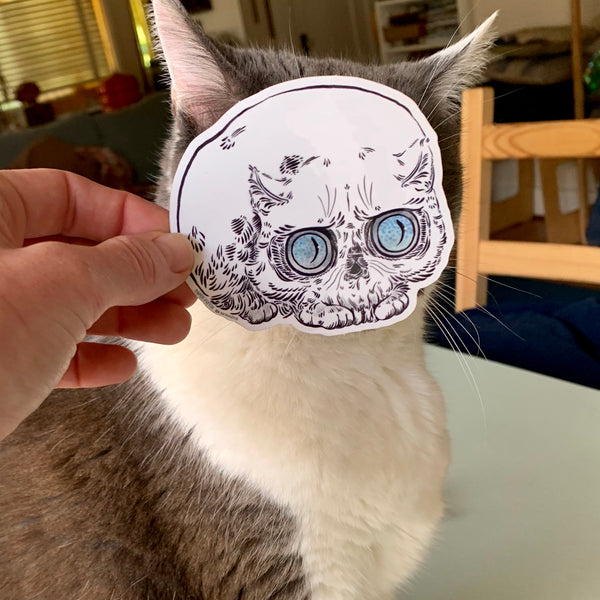 Skull Cat Sticker