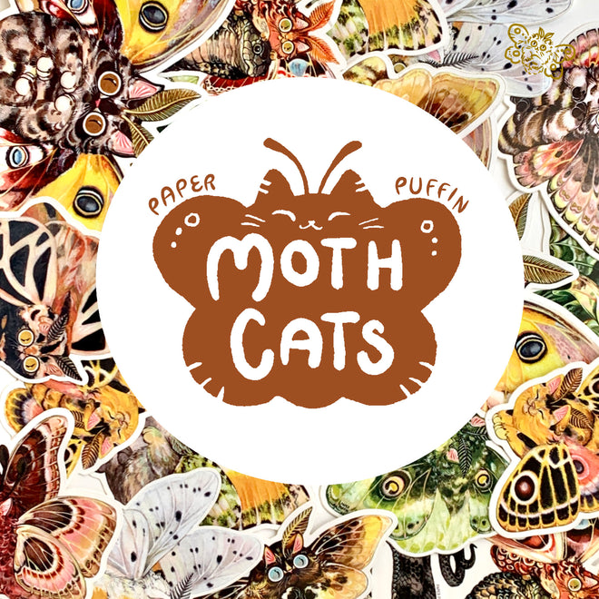 Moth Cats