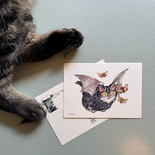 Bat Cat Postcard