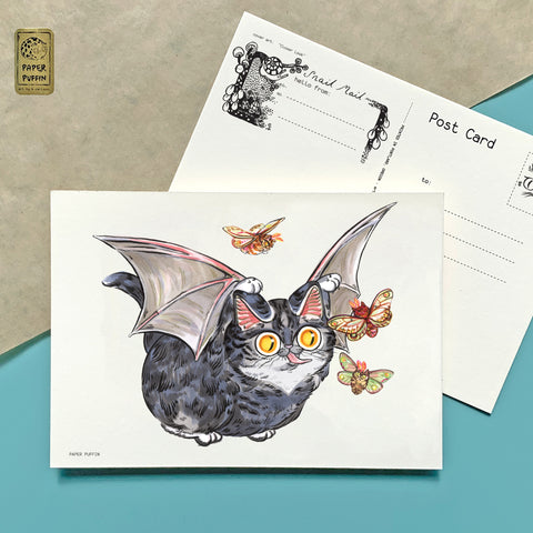 Bat Cat Postcard
