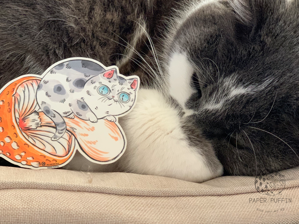 Amanita Mushroom Cat Stickers Set of 2