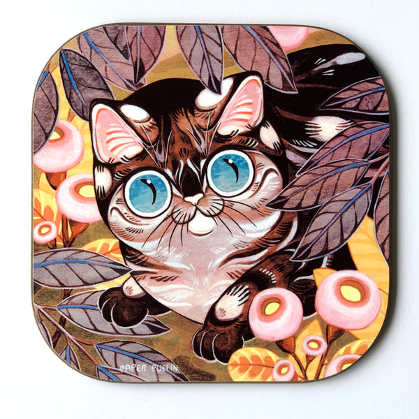 Curious Blue Eyes Coaster 4 pack Limited