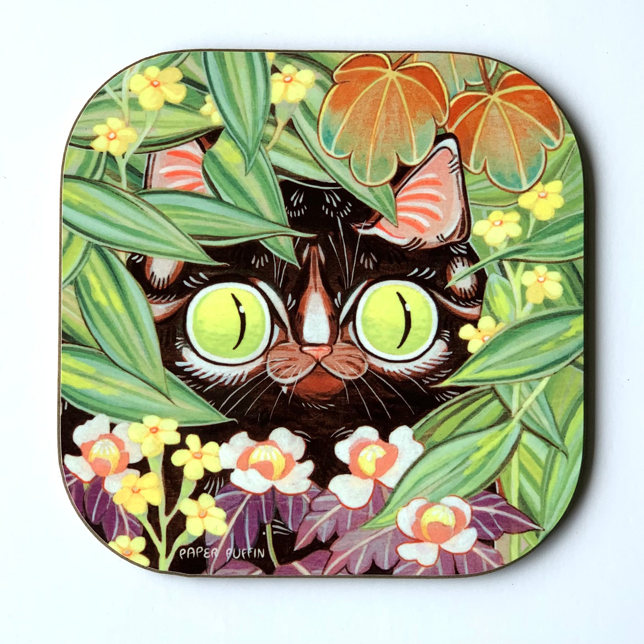 Curious Green Eyes Coaster 4 pack Limited