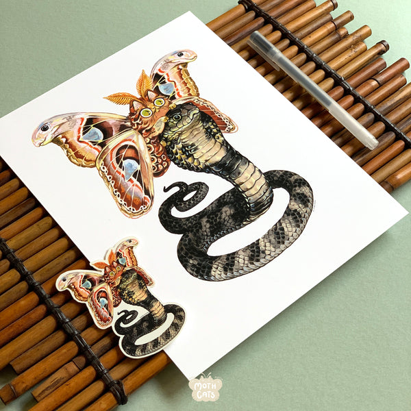 Moth Cat Print “Mimicat Rider” Atlas Moth & Cobra Snake