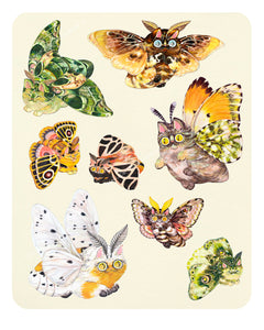 Moth Cat Print “Moth Cats Chart"