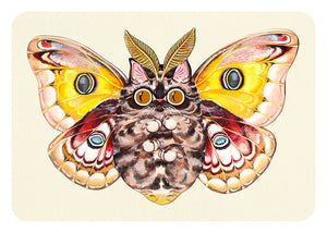 Moth Cat Print "Big Eyes" Polyphemus Moth