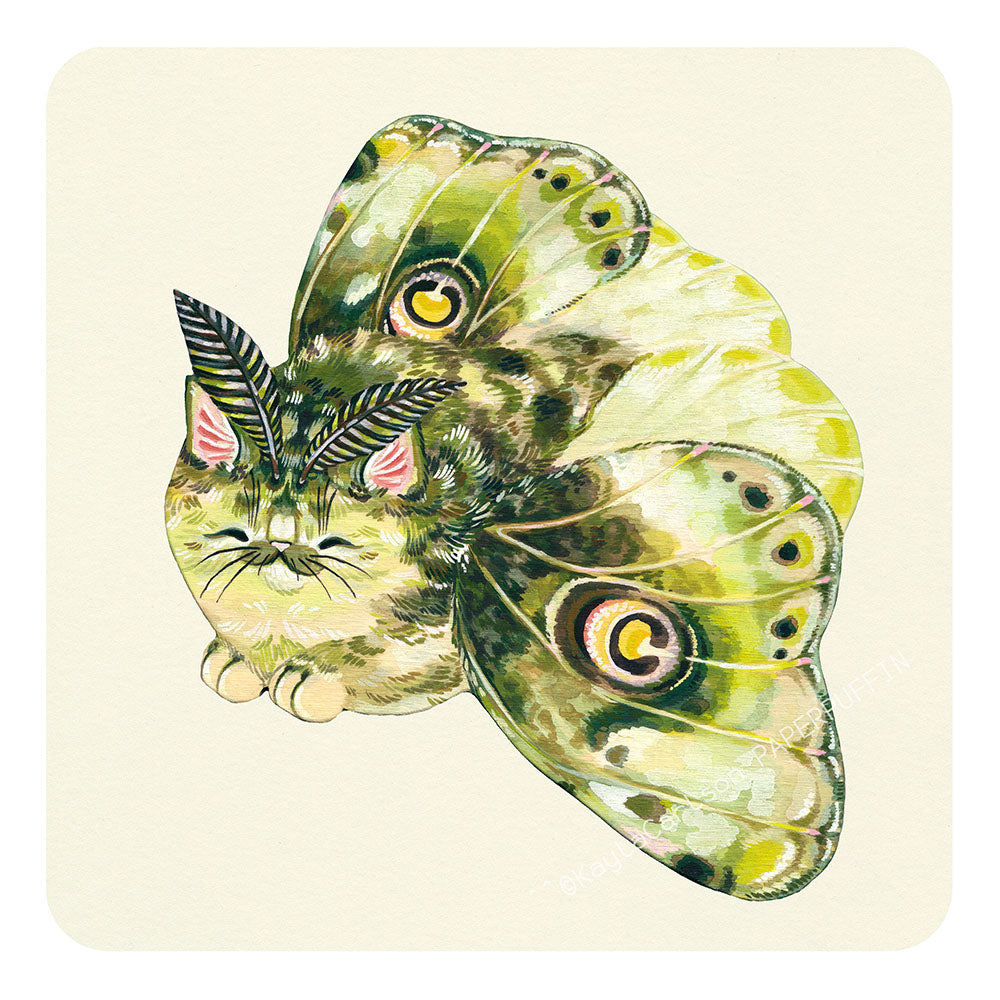 Moth Cat Print "Lil Green” Moth