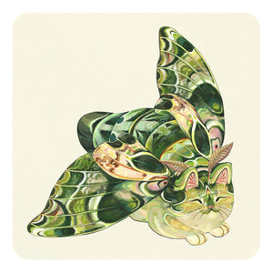 Moth Cat Print "Hawk" Oleander Moth