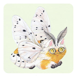 Moth Cat Print "Sunny Smile” Ermine Moth