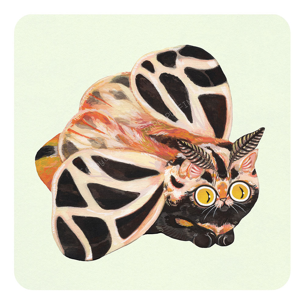 Moth Cat Print “Tiger” Banded Tiger Moth