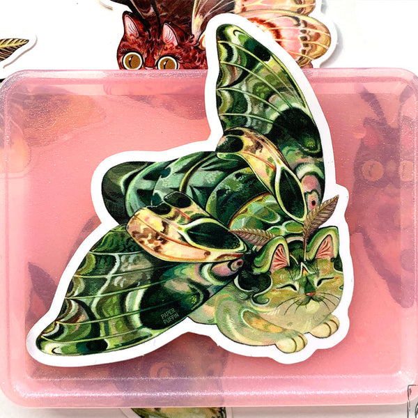 Moth Cat Hawk Oleander Sticker