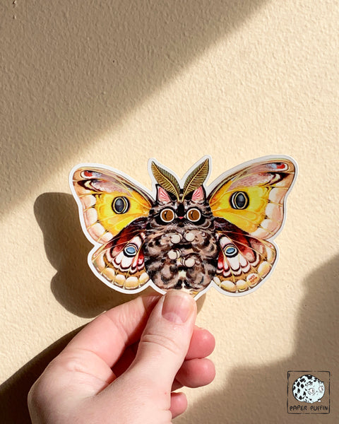 Moth Cat Sticker "Big Eyes" Polyphemus Moth