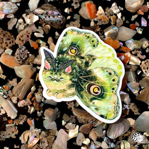 Moth Cat Sticker "Lil Green"