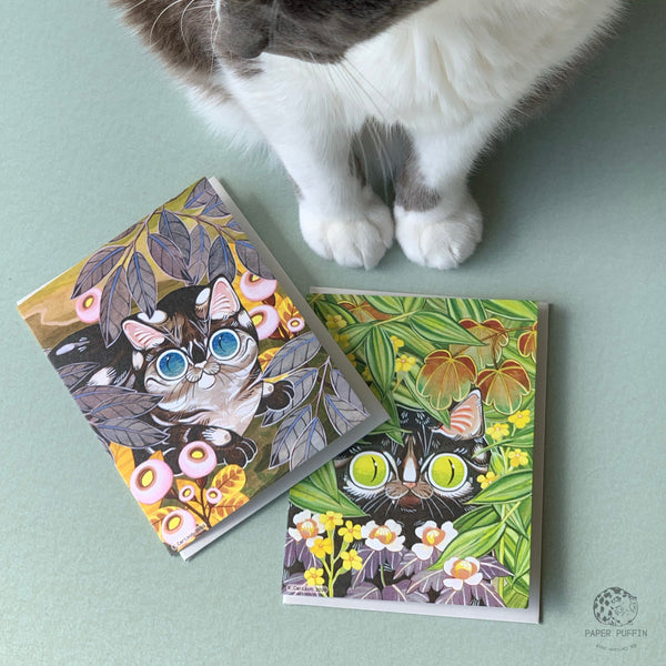 Curious Cats Card Set of 2